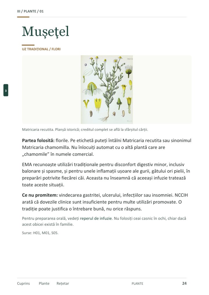 Pagina despre mușețel din carte, cu planșa plantei